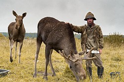 Шоколадик, Сивка и я